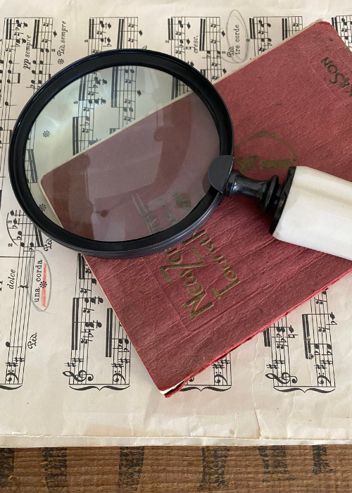 Magnifier - Bone Handle