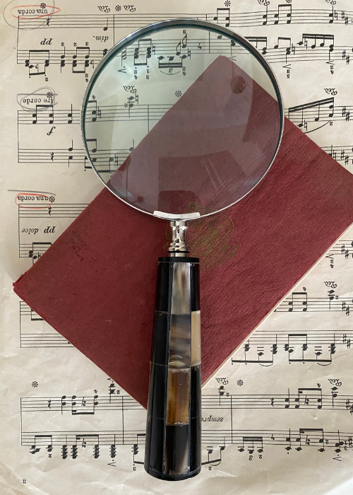 Magnifying Glass With Horn Handle
