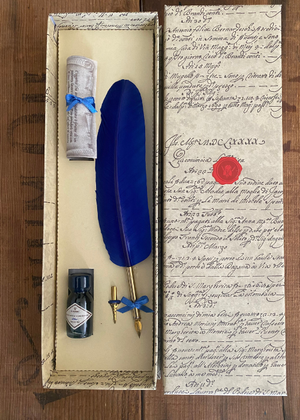 Calligraphy - Blue Quill With Ink And Two Nibs