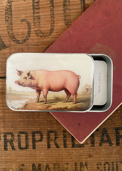 Tin Box - Pig