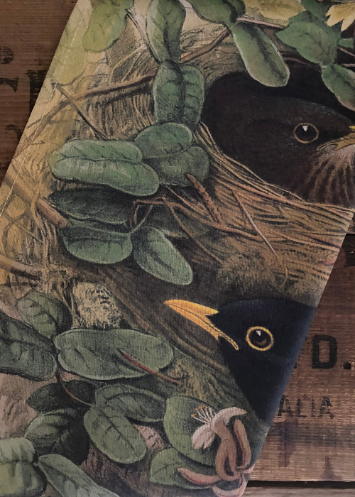 Tea Towel - Blackbird