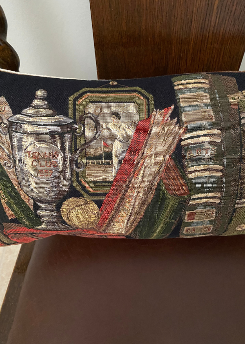 Cushion - Library With Trophy