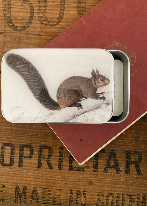 Tin Box - Squirrel Style II