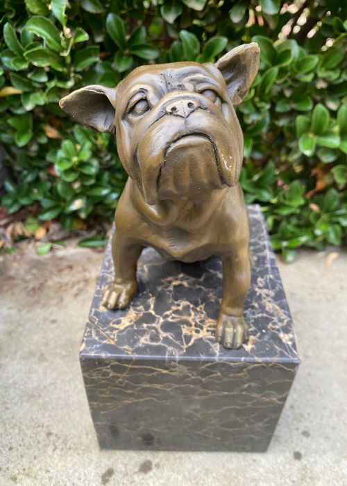 Bronze - English Bulldog