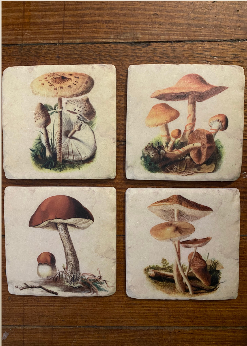 Coasters - Mushrooms Set Of Four