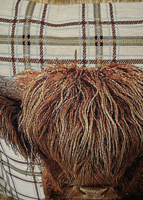 Cushion - Highland Cow