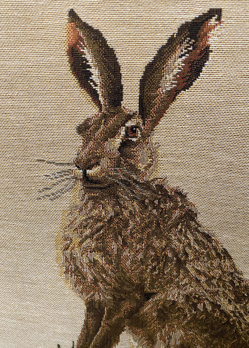 Cushion - Country Hare